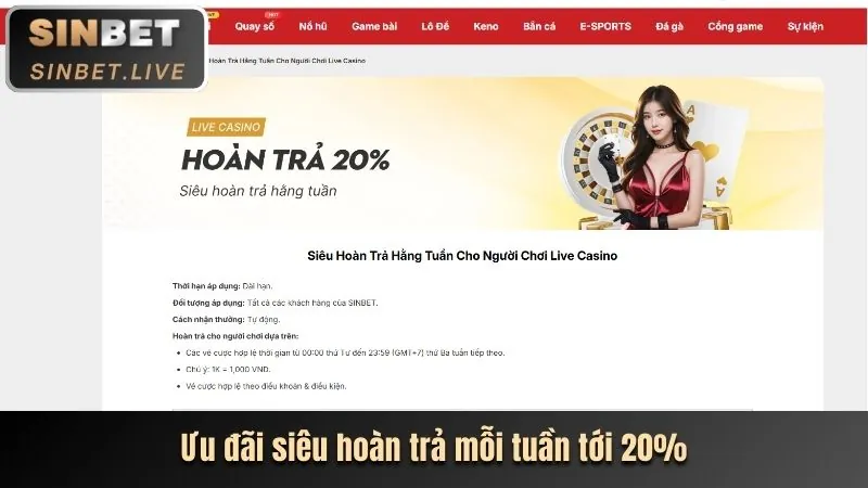 Hình ảnh minh họa khu vực FAQ